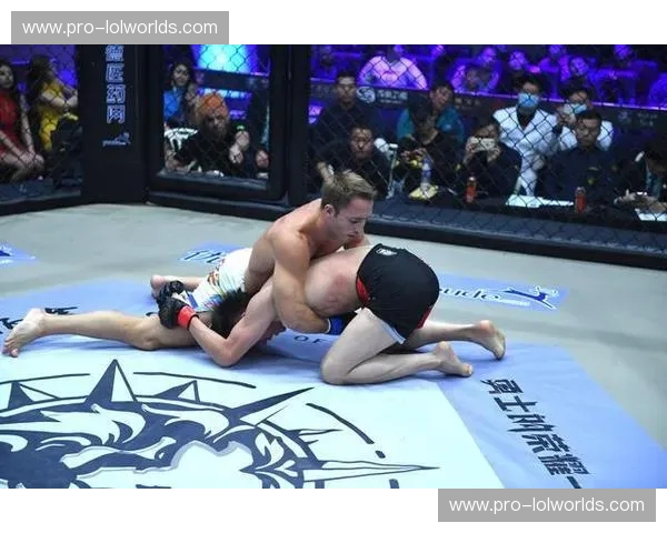 铁拳撞击金钟罩：布莱德·海登与一龙，那场重新定义“格斗”的巅峰教磋